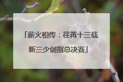 薪火相传：荏苒十三载 新三少剑指总决赛