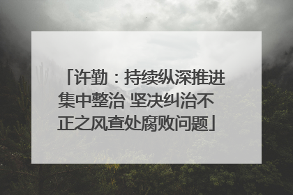 许勤：持续纵深推进集中整治 坚决纠治不正之风查处腐败问题