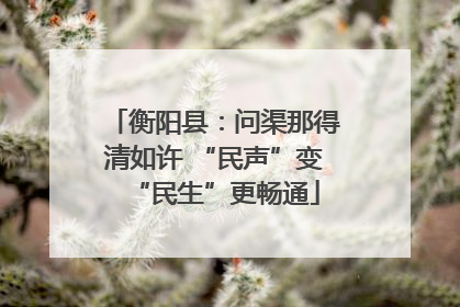 衡阳县：问渠那得清如许 “民声”变“民生”更畅通