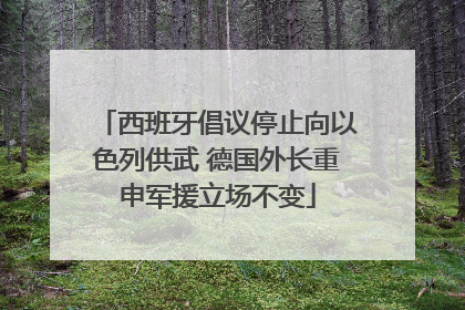 西班牙倡议停止向以色列供武 德国外长重申军援立场不变