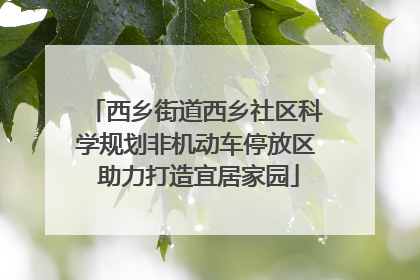 西乡街道西乡社区科学规划非机动车停放区 助力打造宜居家园