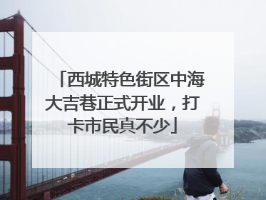 西城特色街区中海大吉巷正式开业，打卡市民真不少