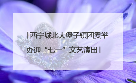 西宁城北大堡子镇团委举办迎“七一”文艺演出