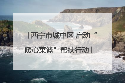 西宁市城中区 启动“暖心菜篮”帮扶行动