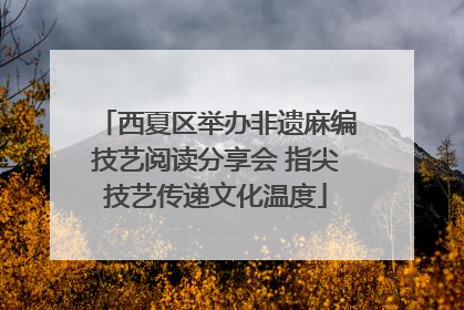 西夏区举办非遗麻编技艺阅读分享会 指尖技艺传递文化温度