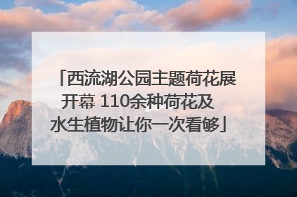 西流湖公园主题荷花展开幕 110余种荷花及水生植物让你一次看够