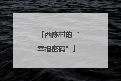 西陈村的“幸福密码”
