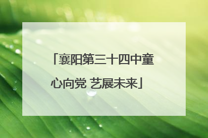 襄阳第三十四中童心向党 艺展未来