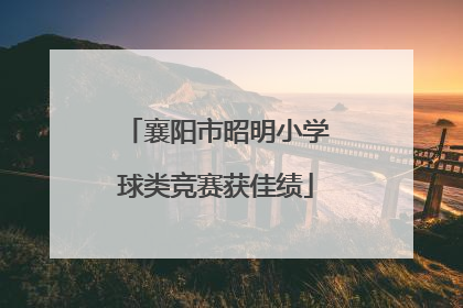 襄阳市昭明小学球类竞赛获佳绩