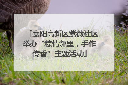 襄阳高新区紫薇社区举办“粽情邻里，手作传香”主题活动