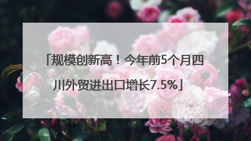 规模创新高！今年前5个月四川外贸进出口增长7.5%