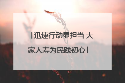 迅速行动显担当 大家人寿为民践初心