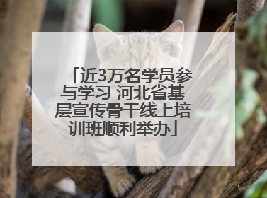 近3万名学员参与学习 河北省基层宣传骨干线上培训班顺利举办