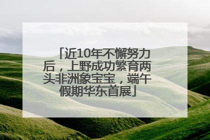 近10年不懈努力后，上野成功繁育两头非洲象宝宝，端午假期华东首展