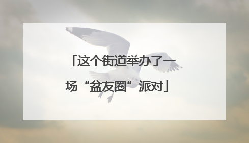 这个街道举办了一场“盆友圈”派对