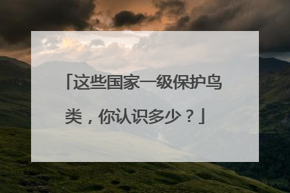这些国家一级保护鸟类，你认识多少？