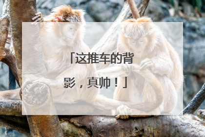 这推车的背影，真帅！
