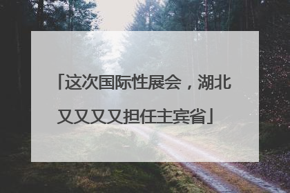 这次国际性展会，湖北又又又又担任主宾省