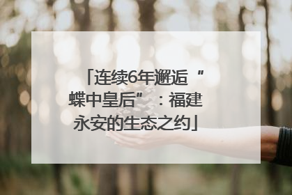 连续6年邂逅“蝶中皇后”：福建永安的生态之约