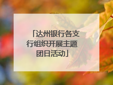 达州银行各支行组织开展主题团日活动