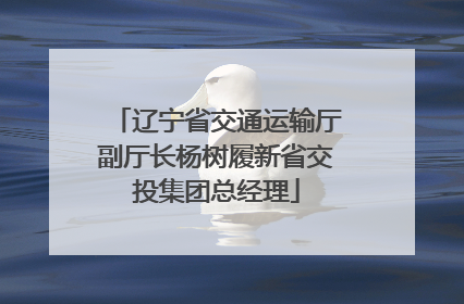 辽宁省交通运输厅副厅长杨树履新省交投集团总经理