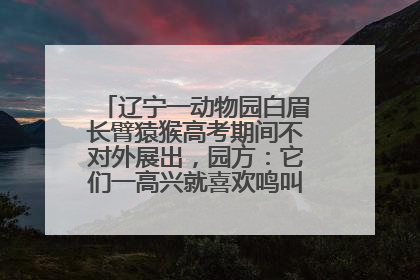 辽宁一动物园白眉长臂猿猴高考期间不对外展出，园方：它们一高兴就喜欢鸣叫，怕影响考试