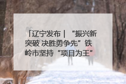 辽宁发布｜“振兴新突破 决胜勇争先”铁岭市坚持“项目为王”推进经济高质量发展