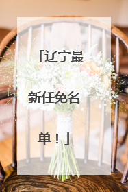 辽宁最新任免名单！