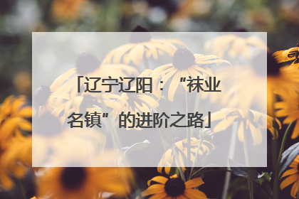 辽宁辽阳：“袜业名镇”的进阶之路