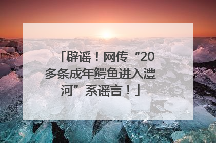 辟谣！网传“20多条成年鳄鱼进入澧河”系谣言！