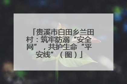 贵溪市白田乡兰田村：筑牢防溺“安全网”，共护生命“平安线”（图）