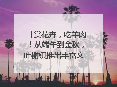 赏花卉，吃羊肉！从端午到金秋，叶榭镇推出丰富文旅活动邀您爽玩