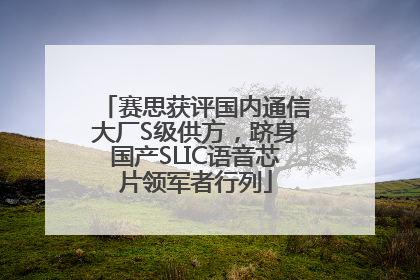 赛思获评国内通信大厂S级供方，跻身国产SLIC语音芯片领军者行列