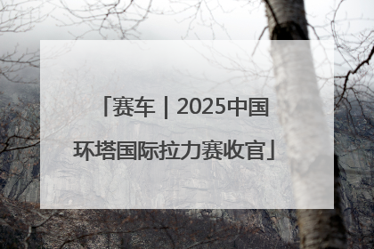 赛车｜2025中国环塔国际拉力赛收官