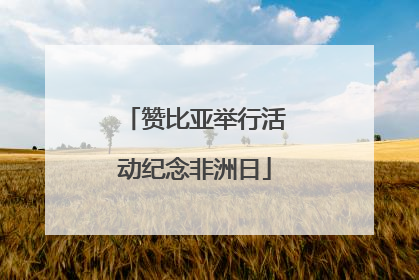赞比亚举行活动纪念非洲日
