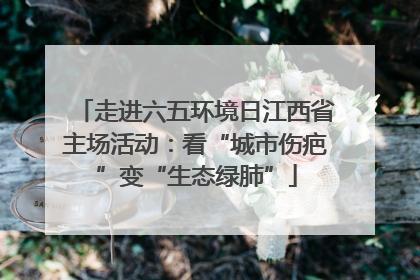 走进六五环境日江西省主场活动：看“城市伤疤”变“生态绿肺”