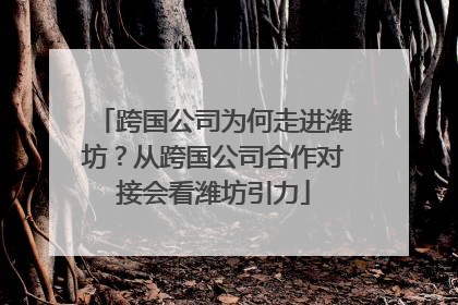跨国公司为何走进潍坊？从跨国公司合作对接会看潍坊引力