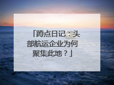蹲点日记：头部航运企业为何聚集此地？