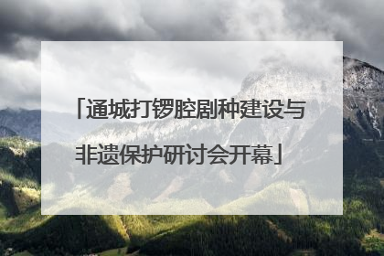 通城打锣腔剧种建设与非遗保护研讨会开幕
