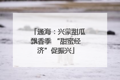 通海：兴蒙甜瓜飘香季 “甜蜜经济”促振兴
