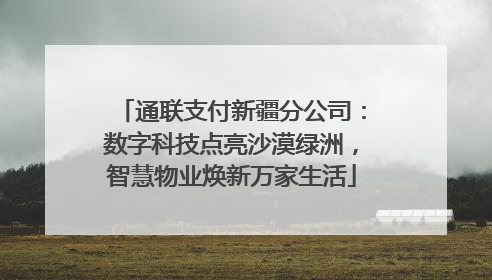通联支付新疆分公司：数字科技点亮沙漠绿洲，智慧物业焕新万家生活