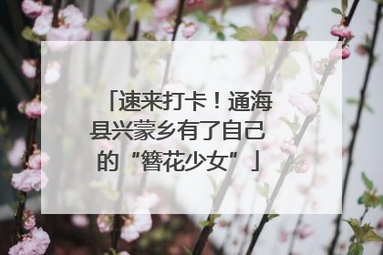 速来打卡！通海县兴蒙乡有了自己的“簪花少女”