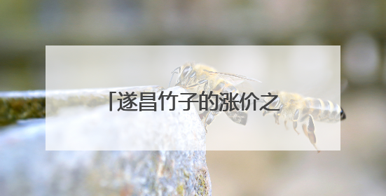 遂昌竹子的涨价之旅：小竹叶包粽子，竹产品走四方