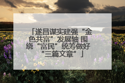 遂昌谋实建强“金色共富”发展轴 围绕“富民”统筹做好“三篇文章”