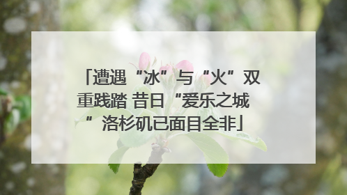 遭遇“冰”与“火”双重践踏 昔日“爱乐之城”洛杉矶已面目全非