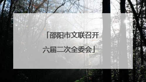 邵阳市文联召开六届二次全委会
