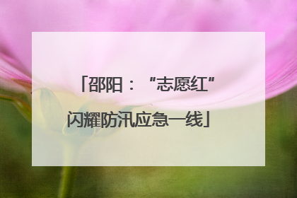 邵阳：“志愿红”闪耀防汛应急一线