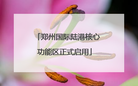 郑州国际陆港核心功能区正式启用