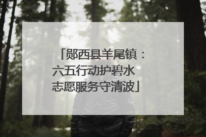 郧西县羊尾镇：六五行动护碧水 志愿服务守清波