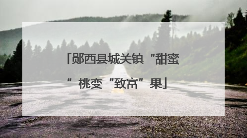 郧西县城关镇“甜蜜”桃变“致富”果